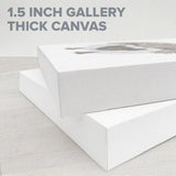 Wrestling Canvas Set