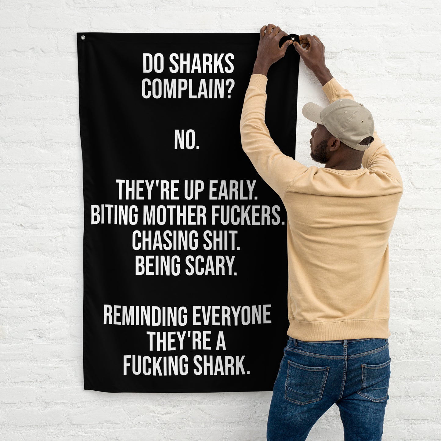 Do Sharks Complain Gym Flag