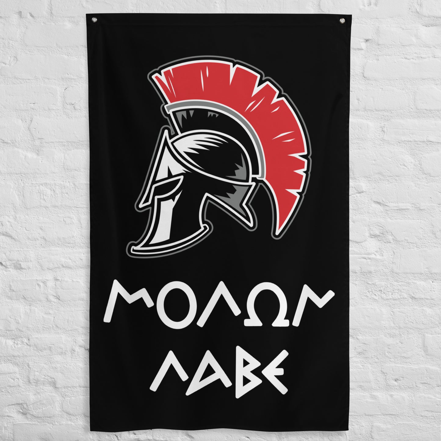 Molon Labe Gym Flag