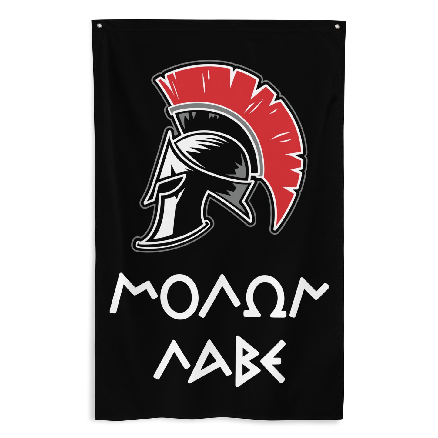 Molon Labe Gym Flag