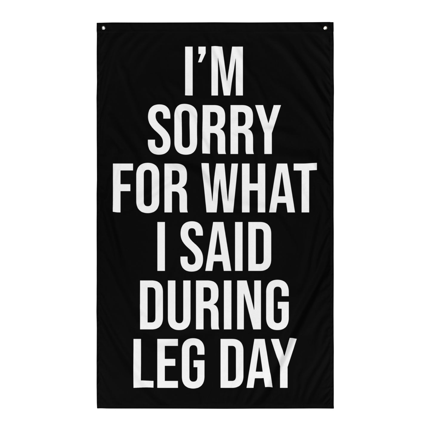 I'm Sorry Leg Day Gym Flag