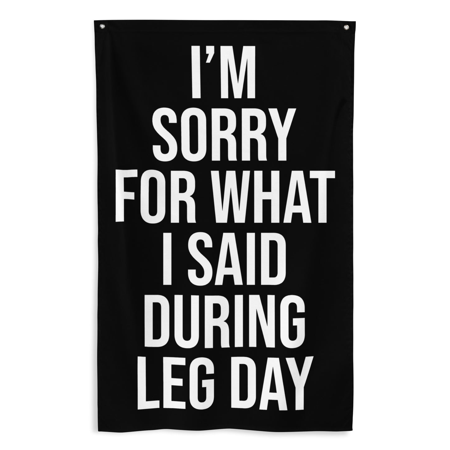 I'm Sorry Leg Day Gym Flag