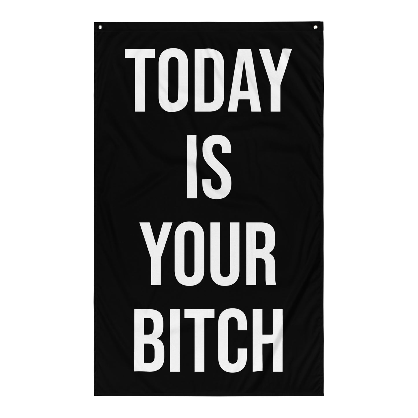 Today Is Your Bitch Gym Flag