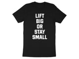 Lift Big Or Stay Small Tee, Workout Motivation Shirt, Men's Black Gym Tee, Fitness Enthusiast Gift, Bodybuilder Shirt, Motivational Gym Top